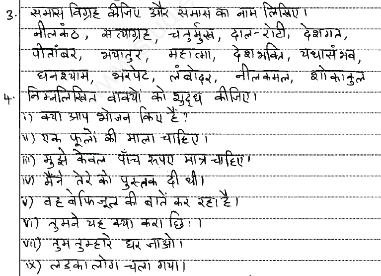 assignment hindi question